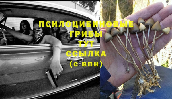прущая мука Армянск