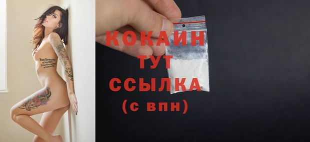 дурь Каменка
