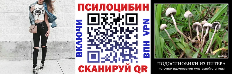 omg как войти  Мытищи  Галлюциногенные грибы прущие грибы 