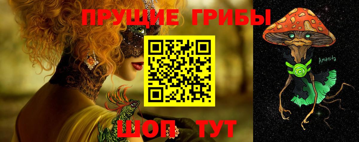 Псилоцибиновые грибы Cubensis  Галлюциногенные грибы прущие грибы  Мытищи  Вход с VPN 