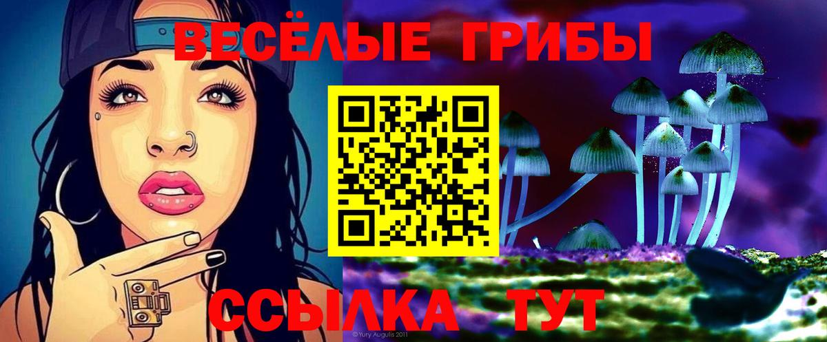 Псилоцибиновые грибы Psilocybe Мытищи