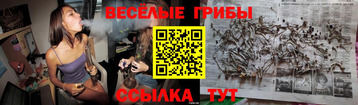 Бошки Шишки Мытищи
