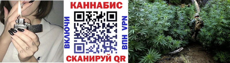 Каннабис ГИДРОПОН  продажа наркотиков  omg ссылка  Мытищи 